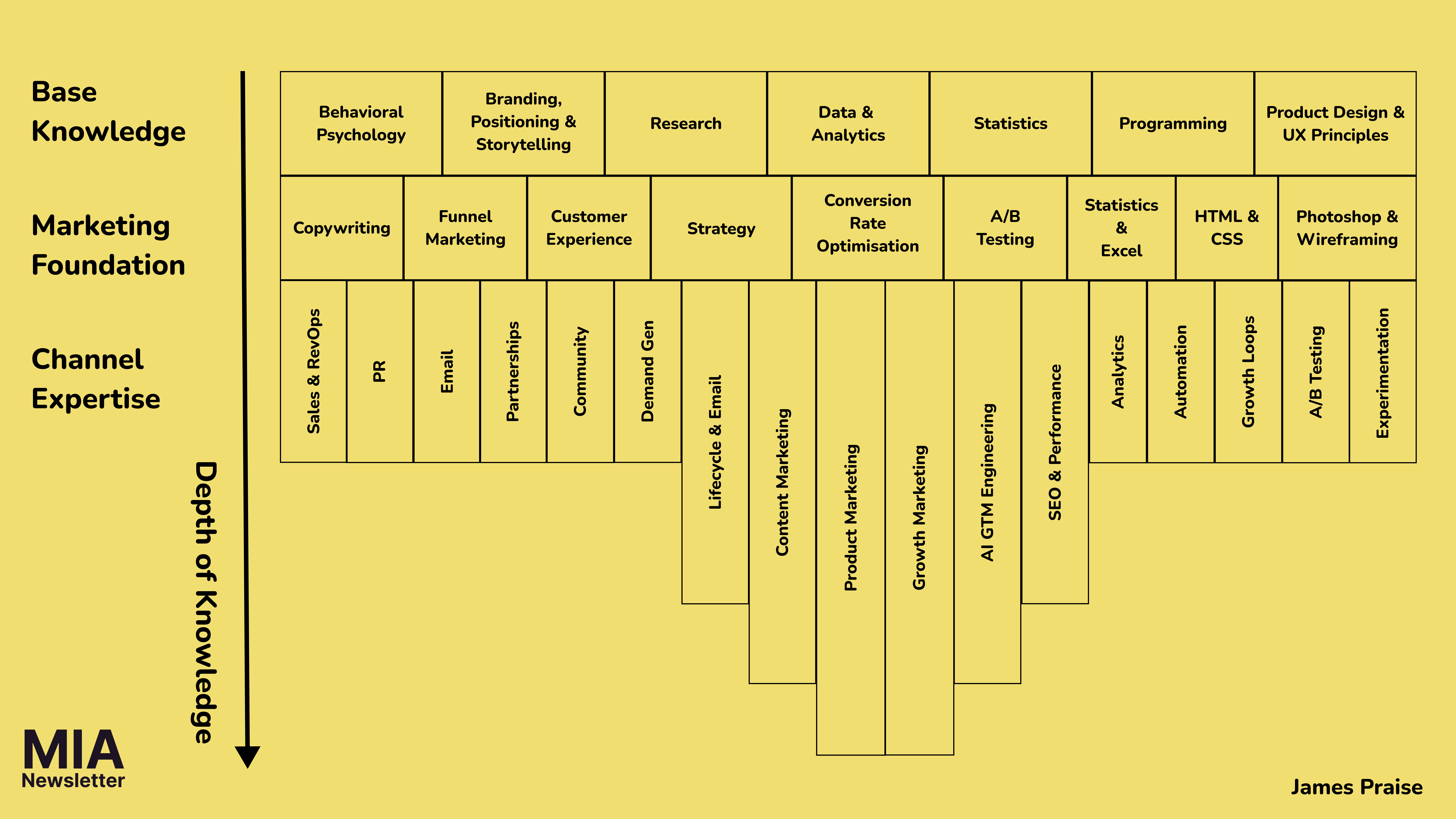 James's T-shaped marketing skill map — click to view full size